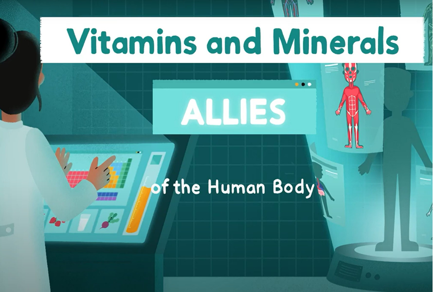Vitamins and Minerals: Allies of the Human Body