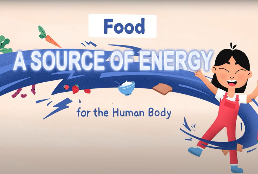 Food: A Source of Energy for the Human Body